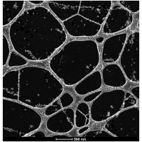 氧化石墨烯微柵支持膜