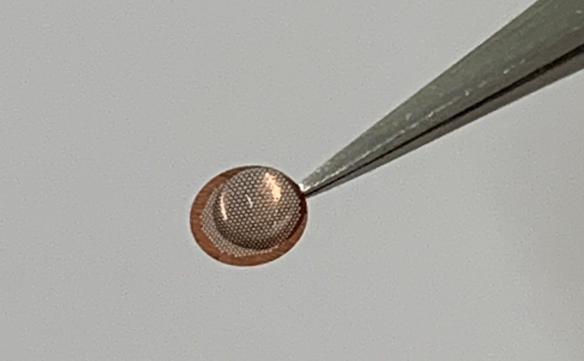 1722915275-ojokqlb 1722915275-ojokqlb