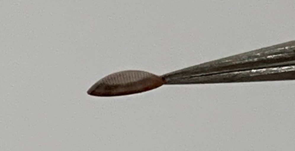 1722915272-nwzqyaq 1722915272-nwzqyaq